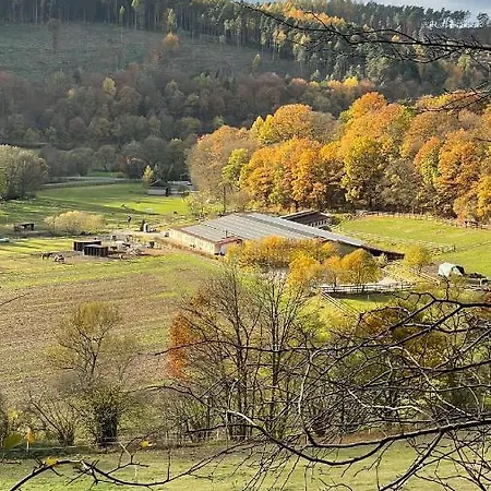Ferienapartments Reitanlage Schenksolz