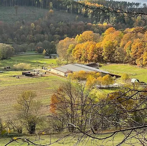 Ferienapartments Reitanlage Schenksolz